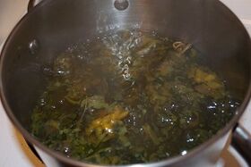 Decocción para tratar las varices.